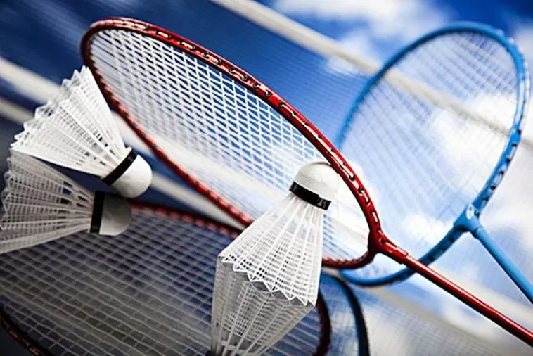 Hướng Dẫn Cách Chơi Cá Cược Cầu Lông Tại Nhà Cái AE888