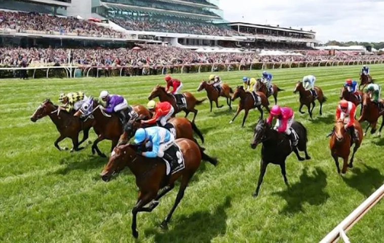 Tìm Hiểu Cá Cược Đua Ngựa Tại Nhà Cái Uy Tín AE888